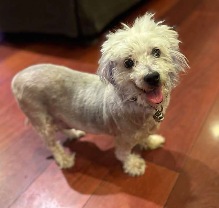 Photo of Angel