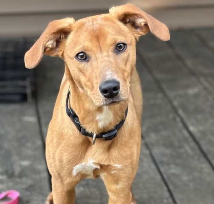 Photo of Betty
