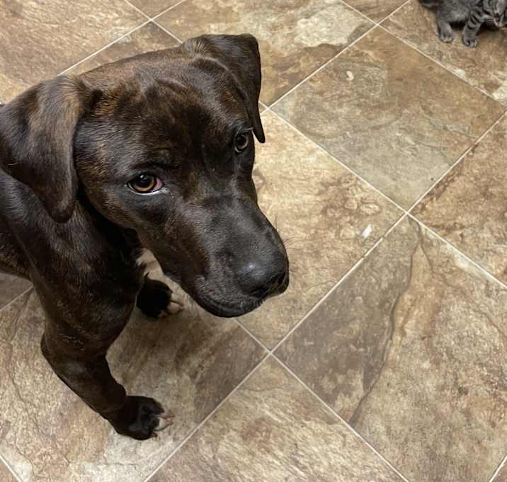 Photo of Maggie