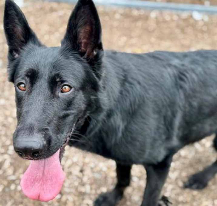 Photo of Summer A427574