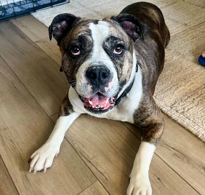 Photo of Dottie