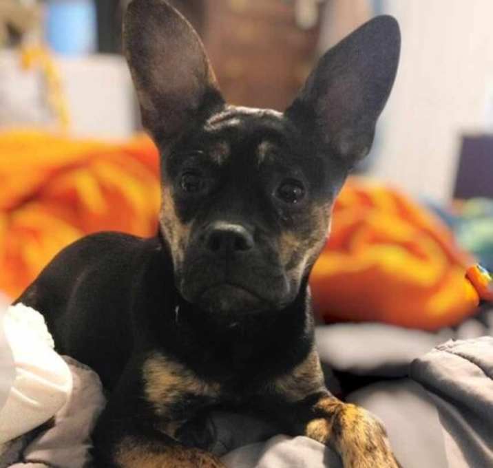 Photo of Holly