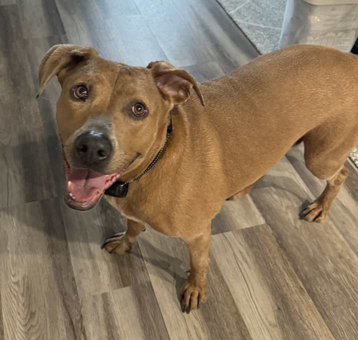Photo of Luna