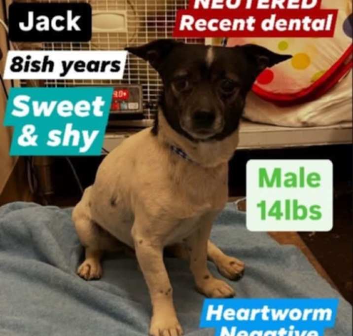 Photo of Jack 