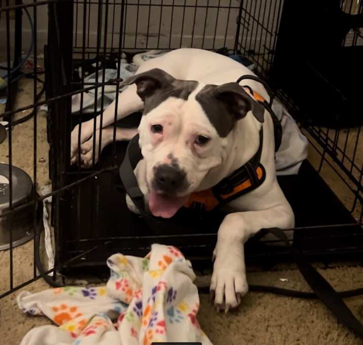 Photo of Azula