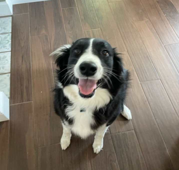 Photo of Kylo