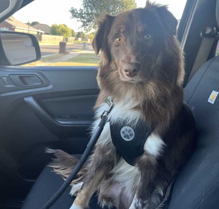 Photo of Wesson