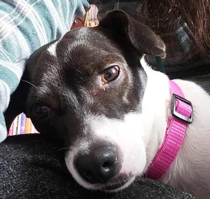Photo of Cherri (WA)