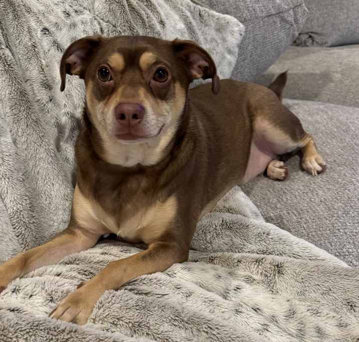 Photo of Copper