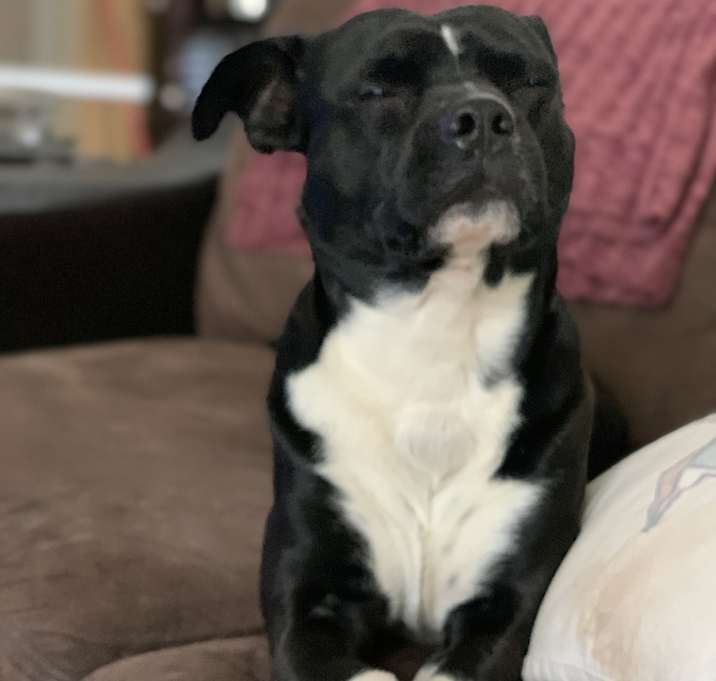 Photo of Louie