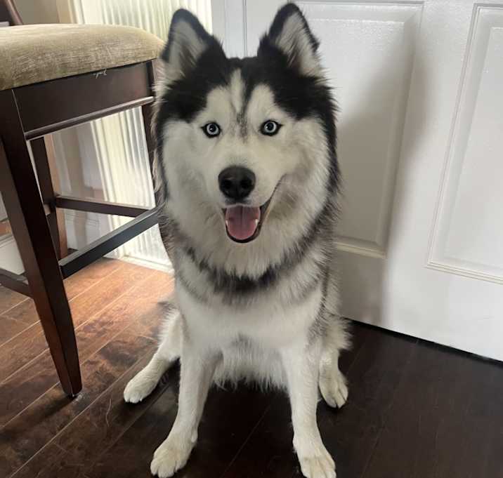 Photo of Zuko