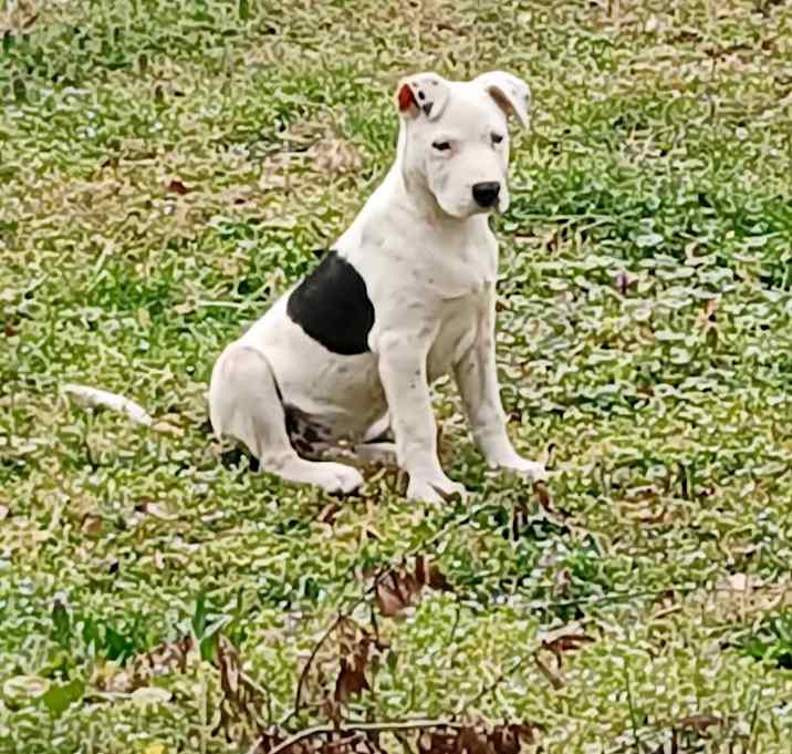 Photo of Finn