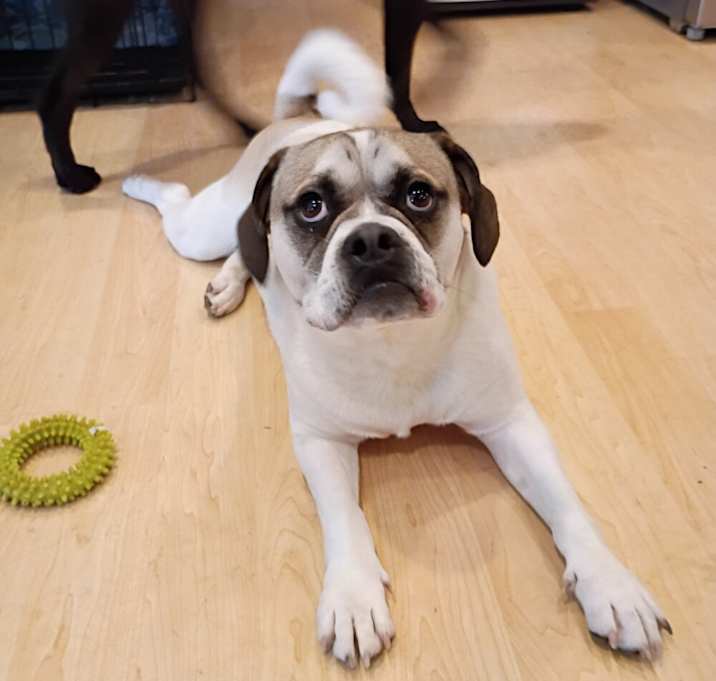 Photo of Quasi