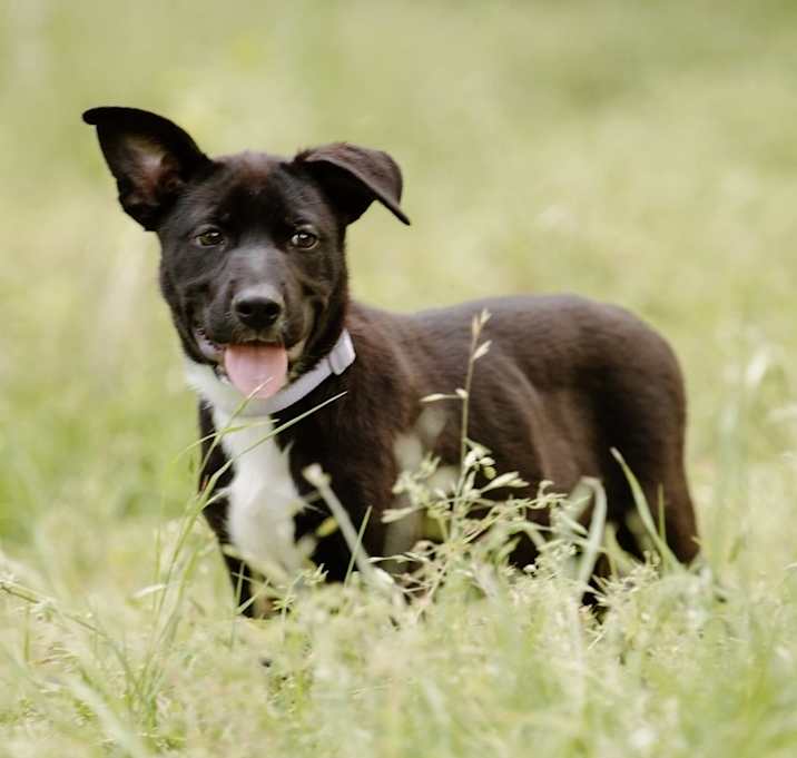 Photo of Bindi