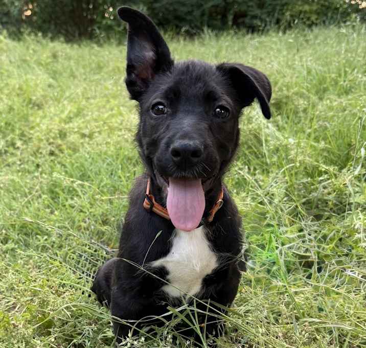 Photo of Beatrix