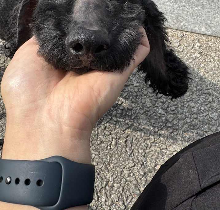 Photo of Bam