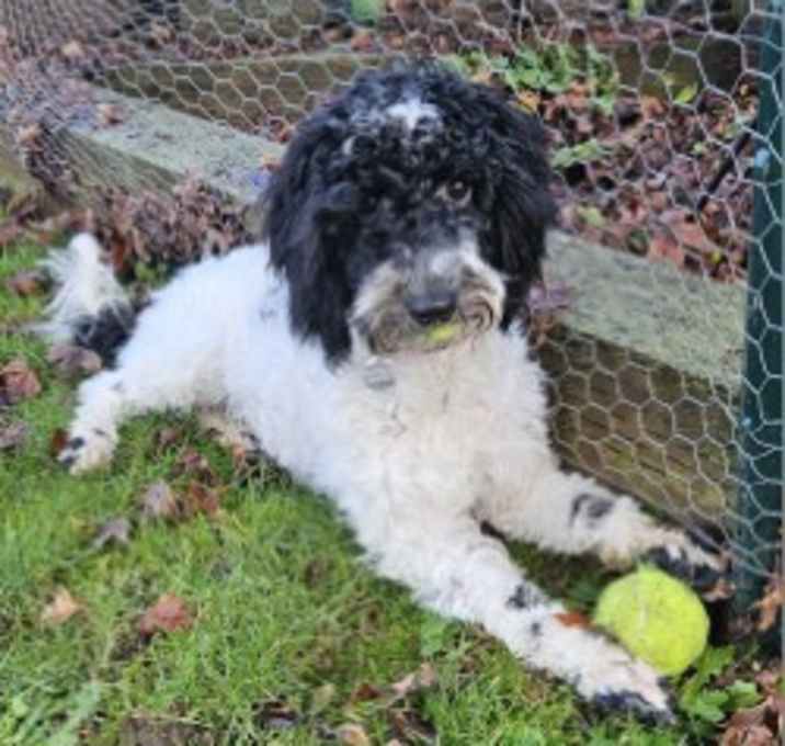 Photo of Meggie