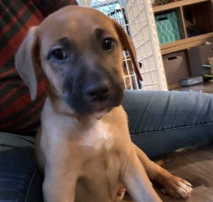 Photo of Willow