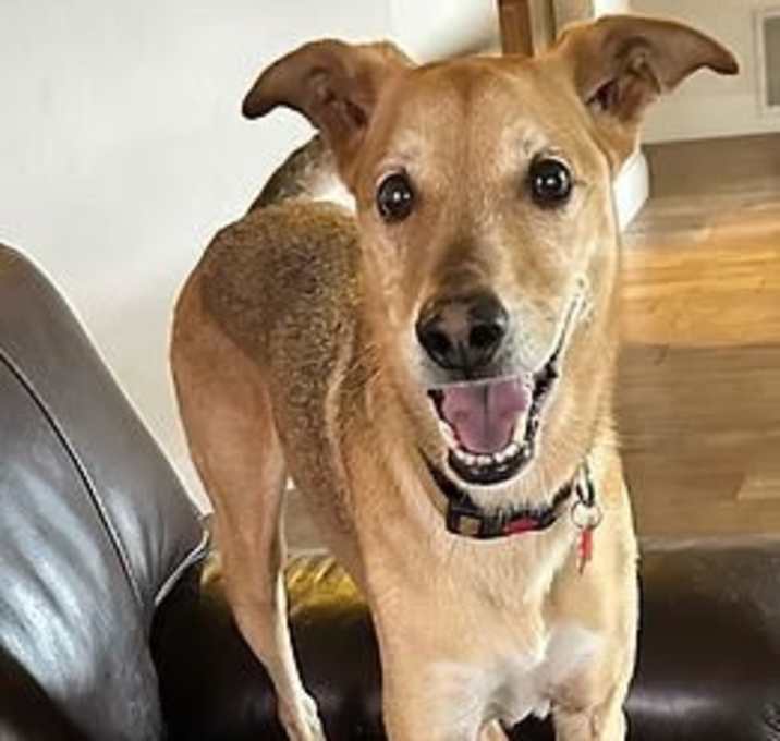 Photo of Lucky Jack