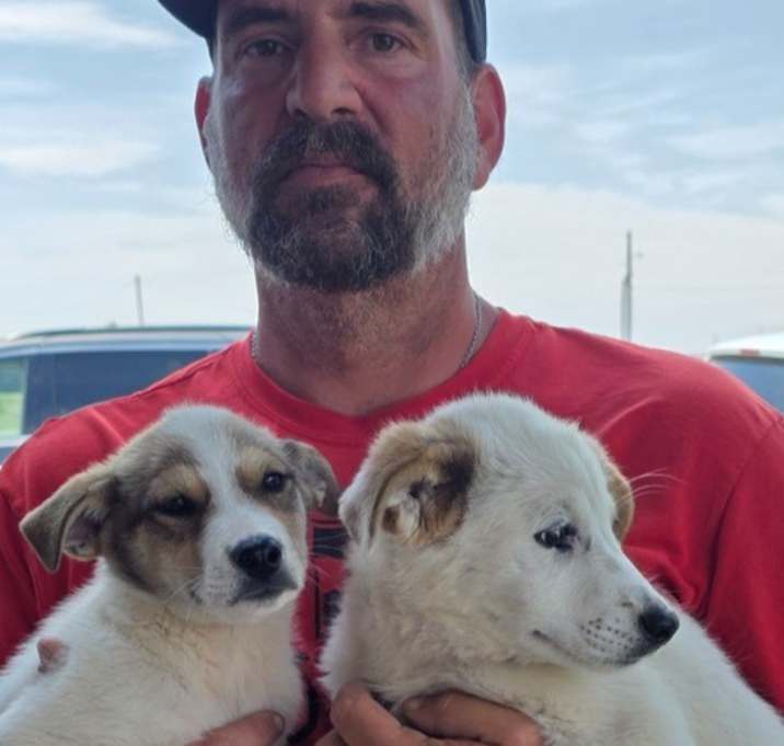 Photo of 1 pup