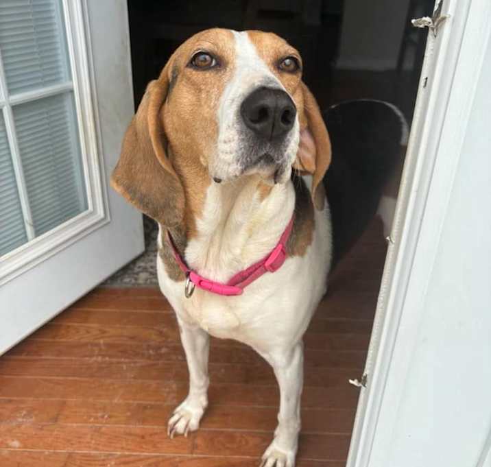 Photo of Rhonda