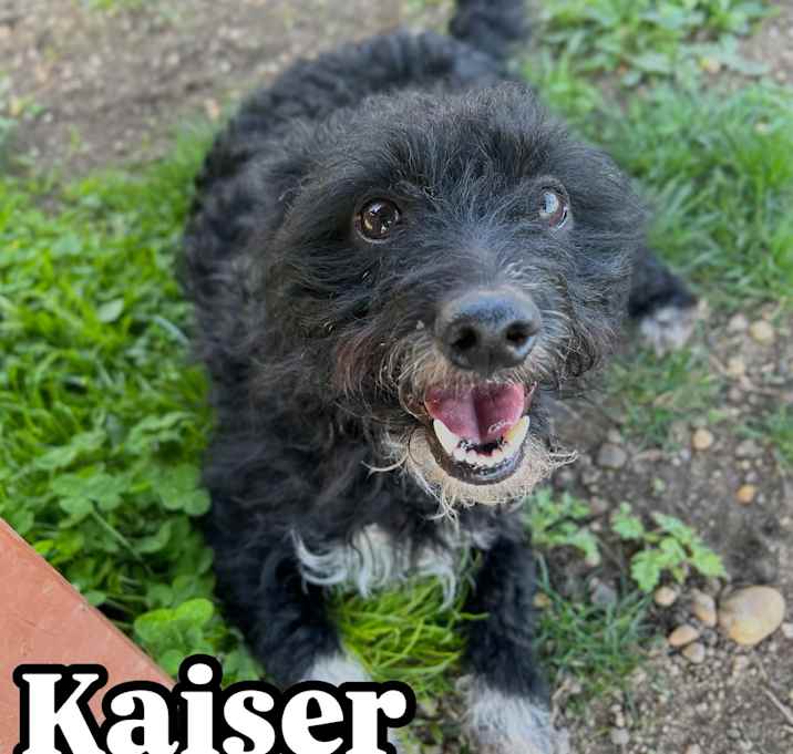 Photo of Kaiser