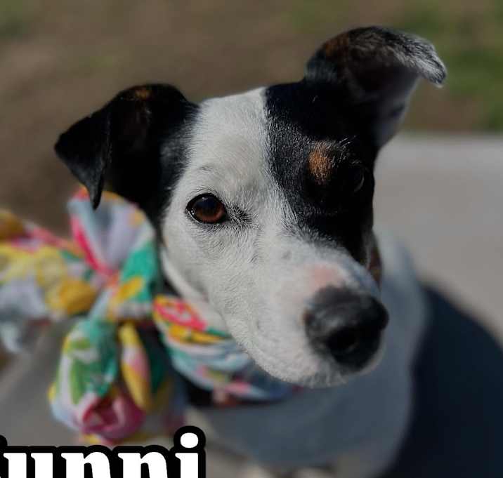Photo of Sunni