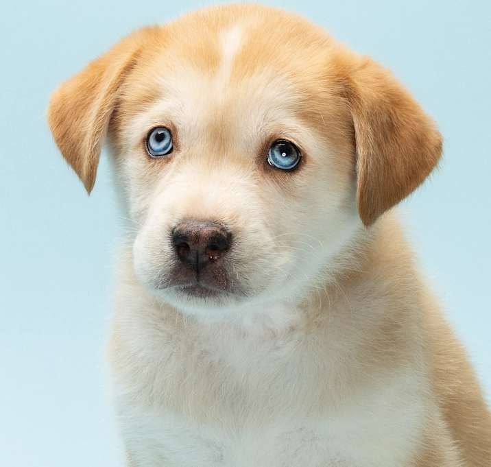 Photo of Sweetie