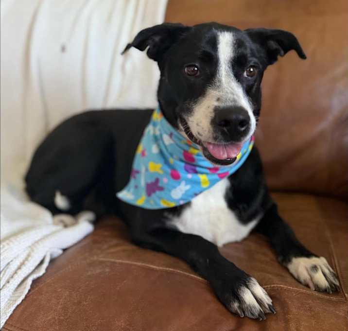 Photo of Maggie Madison