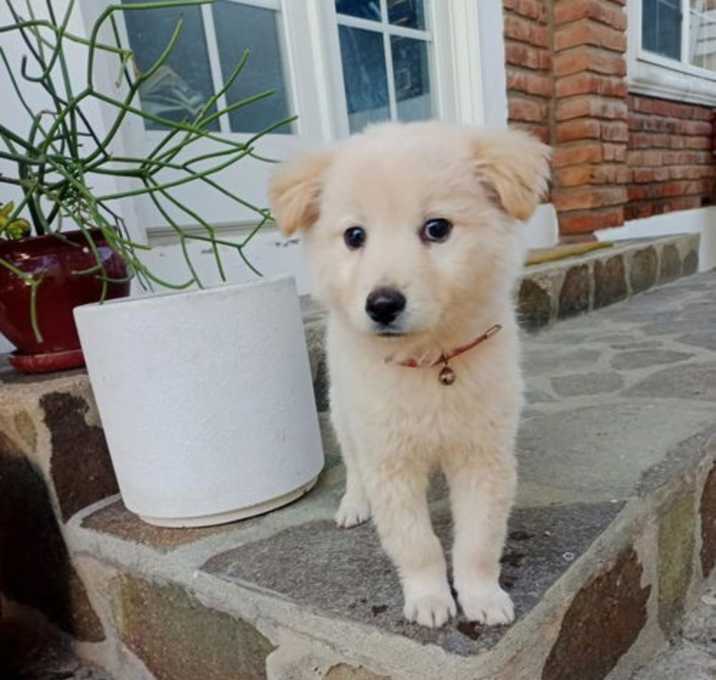 Photo of Teddy