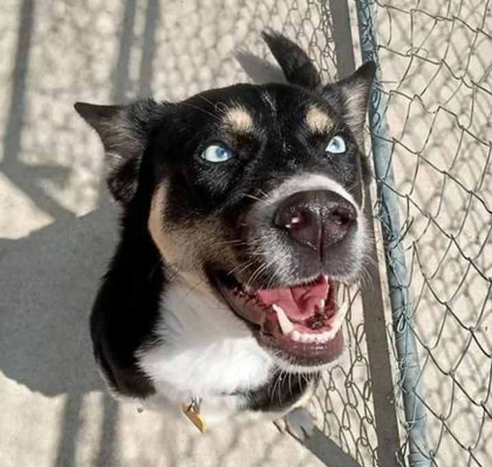 Photo of Luna
