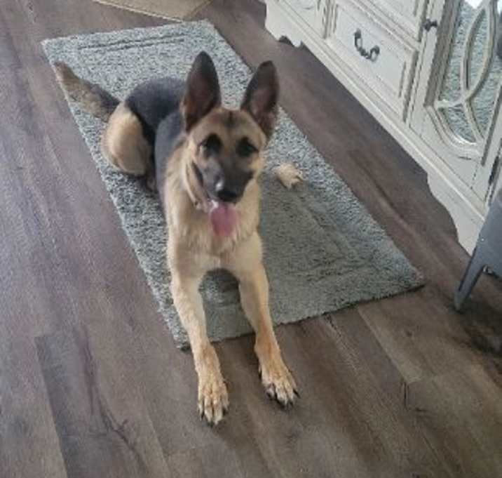 Photo of Allie
