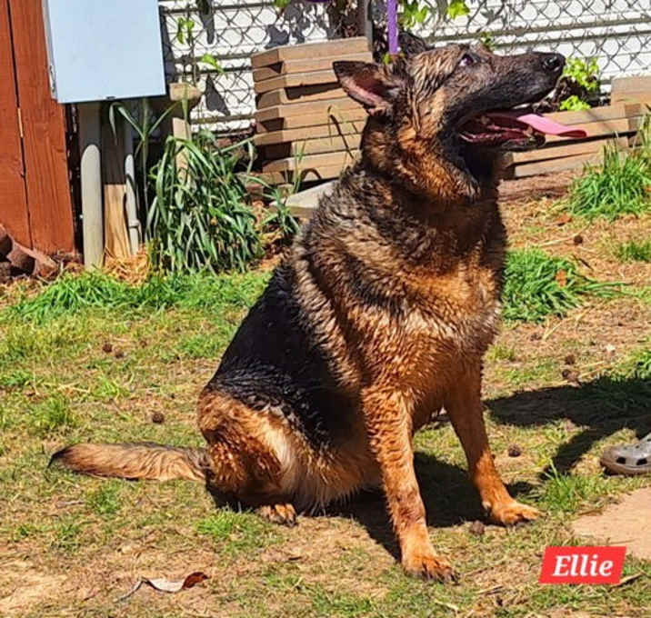 Photo of Ellie