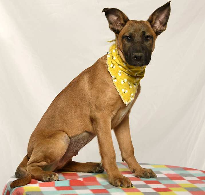 Photo of Penelope