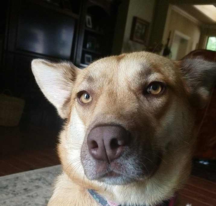 Photo of Frankie