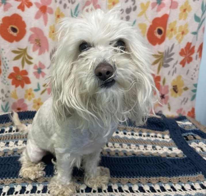 Photo of Kiva