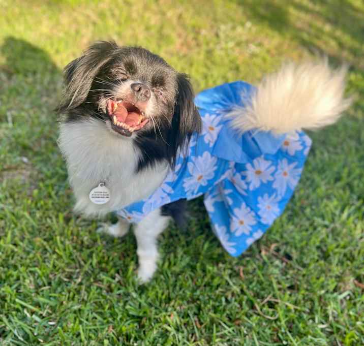 Photo of Moira