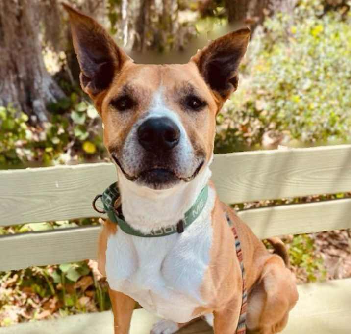 Photo of Sawyer