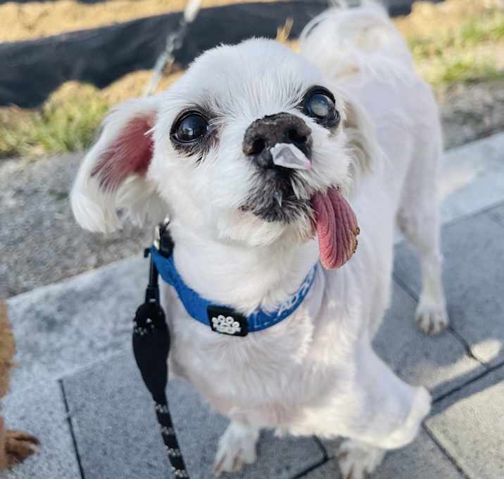 Photo of Noah
