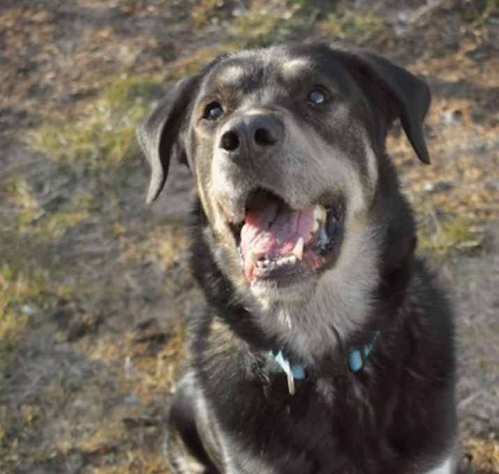 Photo of Floki~23/24-0140