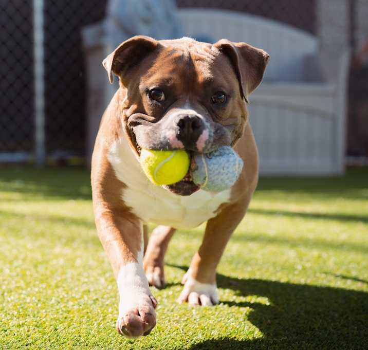 Photo of Manny