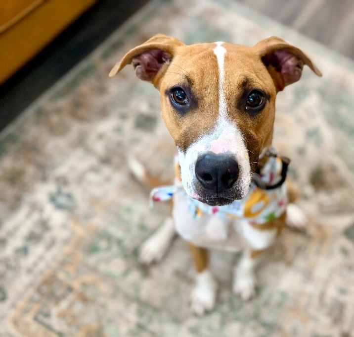 Photo of Maple Howell