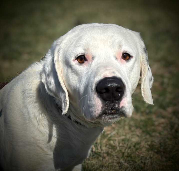 Photo of Conner