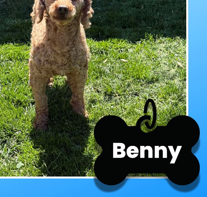 Photo of Benny