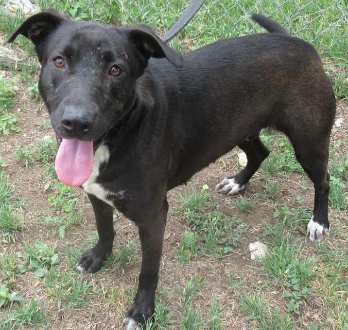 Photo of Betty