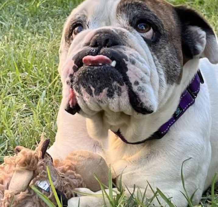Photo of Nellie