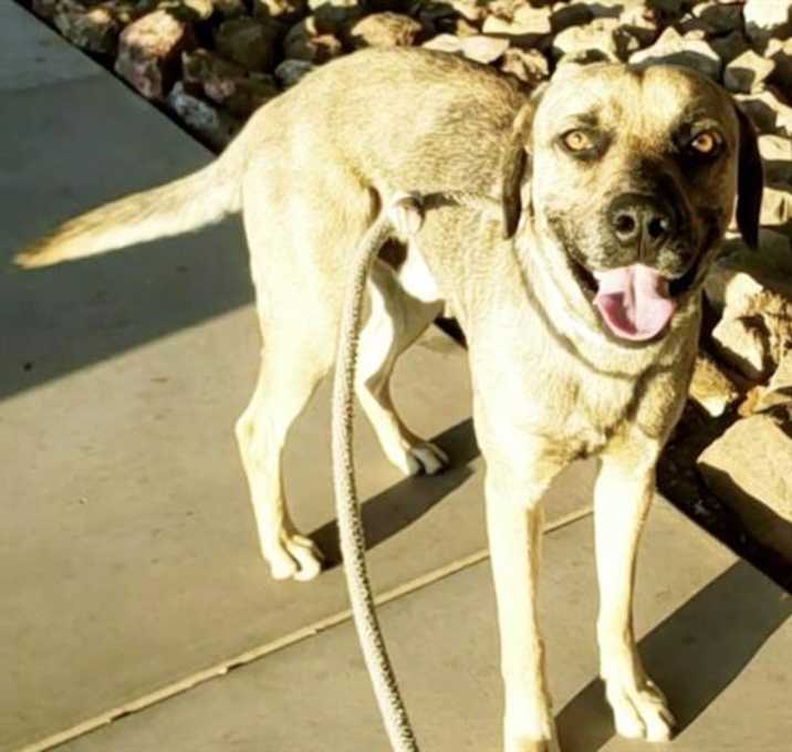 Photo of PEPPER
