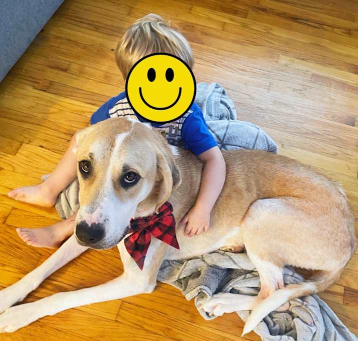 Photo of Juno