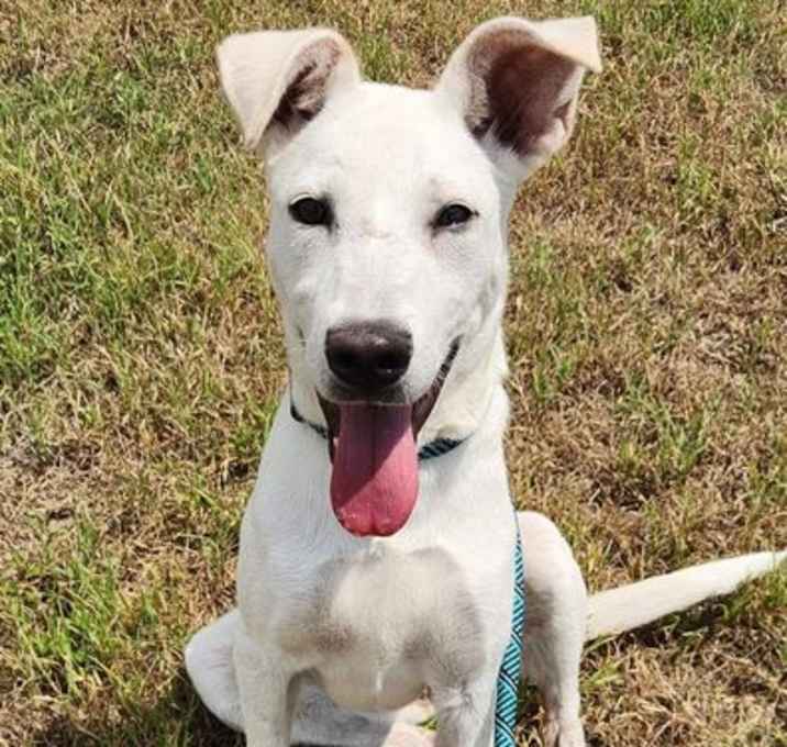 Photo of *NOVA