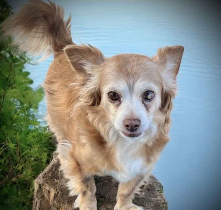 Photo of Bohdi
